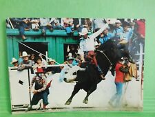 AK Calgary Exhibition and Stampede Bull Riding Canada Ansichtskarte Kanada