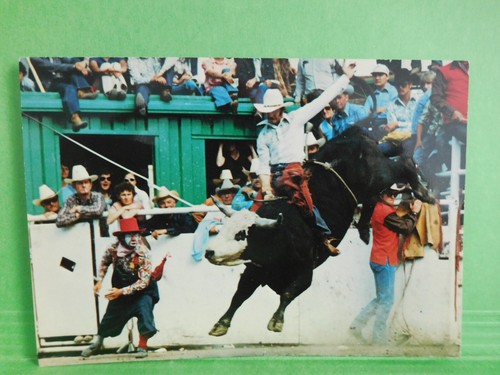 Calgary exhibition and - ak,