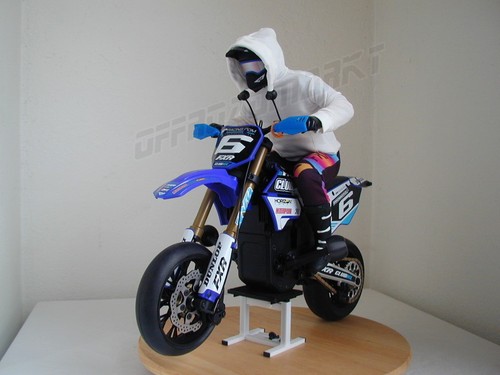 Rider shirt hoodie - hoodie, losi