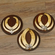 Warzenschwein 3 er Set Waffen