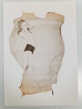 polaroid emulsion transfer