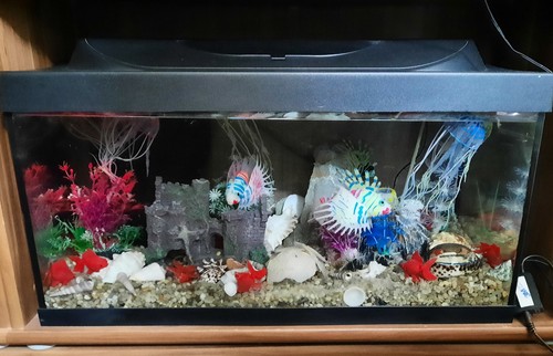 Aquarium komplett ideal für - aquarium, komplett,