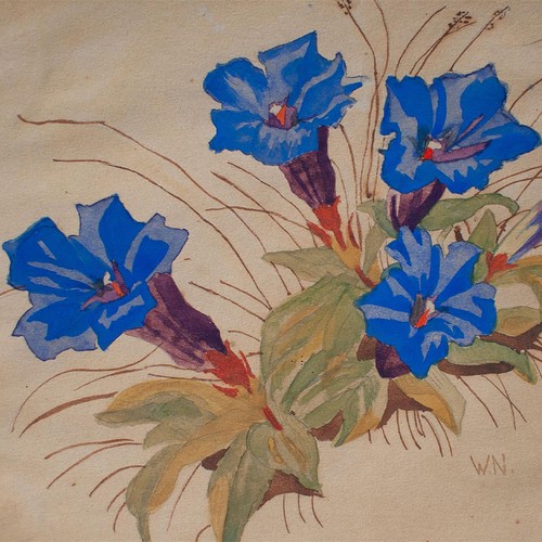 Blauer enzian blumen - blauer,