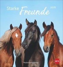 Pferde Postkartenkalender 2026