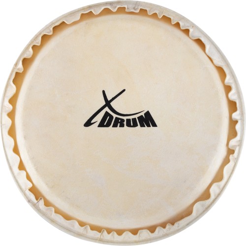 Xdrum bongo natur - bongo, fell