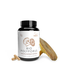 Pilze Wohlrab | BIO Polyporus