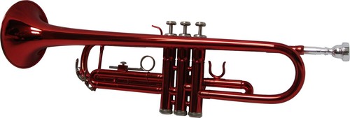 Trompete rot schwarz - -,