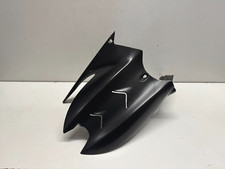 Carbon Heckfender Schutzblech