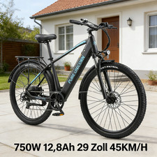 Pure Unicorn U3 Elektrofahrrad