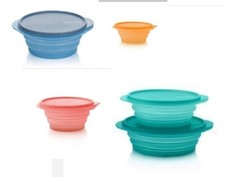 Tupperware Mini Max