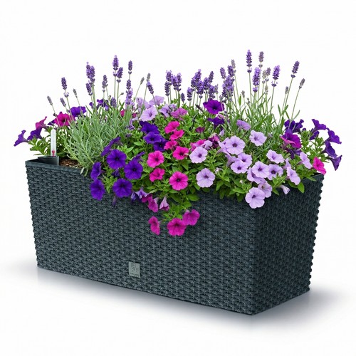Prosperplast blumenkasten - prosperplast,