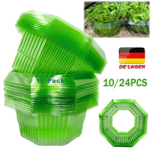 Schneckenkragen
