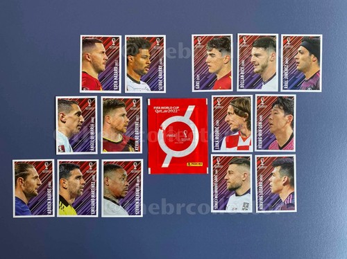 Panini world cup qatar - cup, 2022