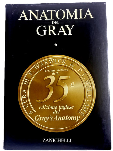 Anatomia del gray volume - del,