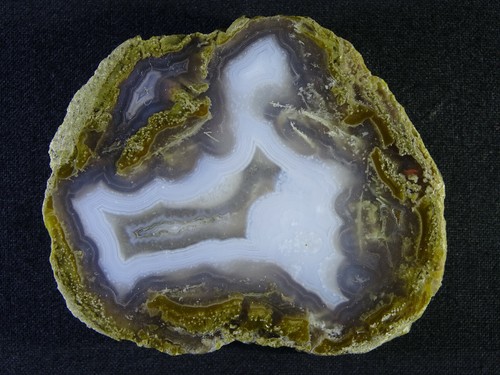 Versteinertes holz - versteinertes,