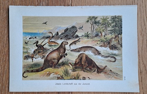 Landschaft aus der jurazeit - aus,