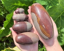 Shiva Lingam Stones 1-6"