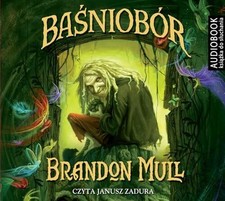 Basniobor Buch Biblioteka Akustyczna