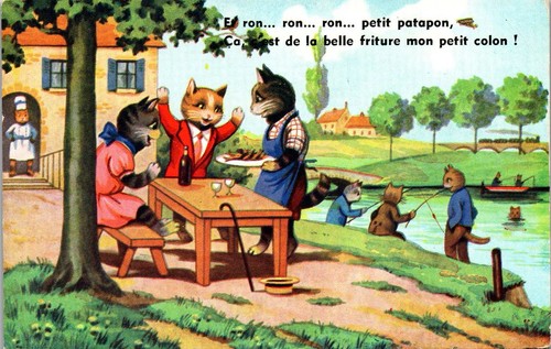 Tiere katzen und rum - -,