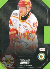 DEL-2 Playercards Saison