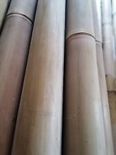 Rutenbau, 50 Stangen Tonkin , ca. 1,50 lang.38 bis 40 Jahre abgelagert