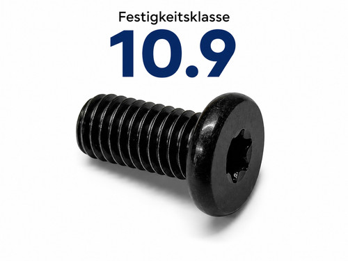 Schraubensatz etz 150 251 - schraubensatz,