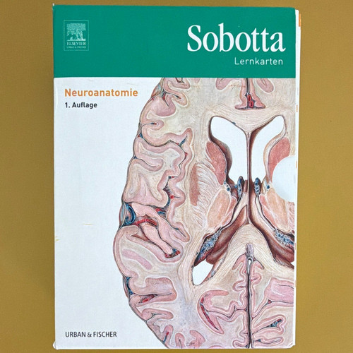 Neuroanatomie lernkarten - neuroanatomie,