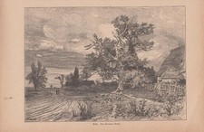 Orig. Holzstich: Eiche. Von Hermann Baisch.