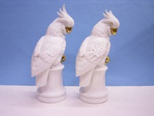 PAAR(2) WEISSHAUBENKAKADUS