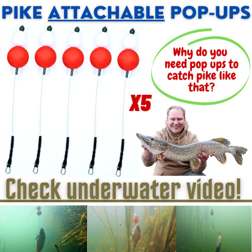 Hecht pop ups - pop, rigs