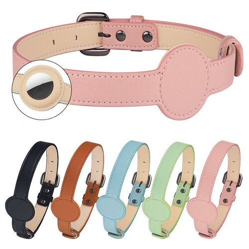 Katzenhalsband hundehalsband - katzenhalsband,
