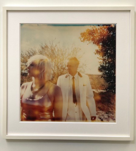 Stefanie schneider polaroid - schneider,