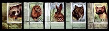 Marderhund, Nerz, Hase, Wolf