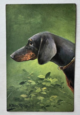 Vintage ca 1900s Dog Postcard