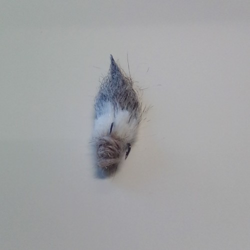 Fliegenfischen streamer - fliegenfischen,