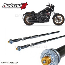 Harley davidson dyna low rider - dyna,