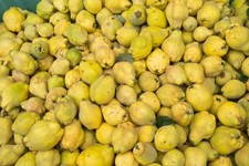 Portugiesische Birnenquitte