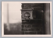 Vogel Vogelhäuschen Hausmauer Balkon Tier - Altes Foto