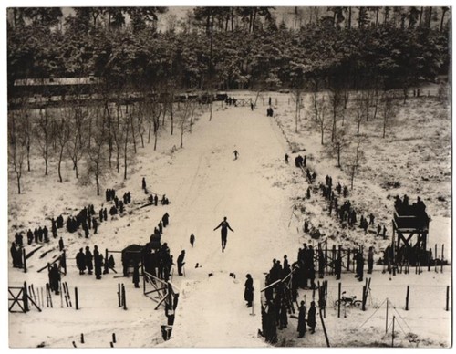 Fotografie berlin grunewald - fotografie, berlin-grunewald
