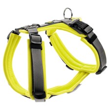 Hunter Geschirr Maldon