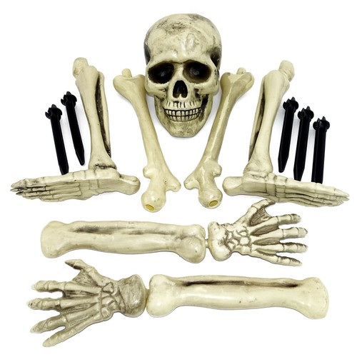 Menschen knochen set halloween - knochen,