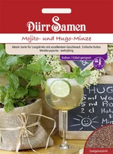 Mojito- und Hugo-Minze Saatgut von Dürr-Samen