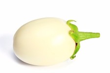 SAMEN Eierbaum Solanum