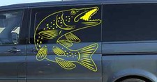 Angeln hecht fisch - angeln,