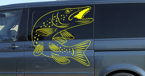 Angeln hecht fisch - angeln, 02