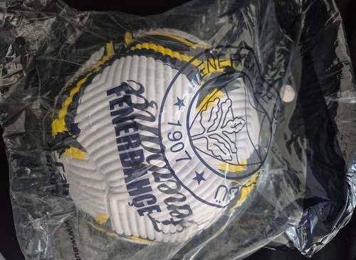 Fenerbahce fussball