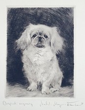 "Pekinese, sitzend" Radierung