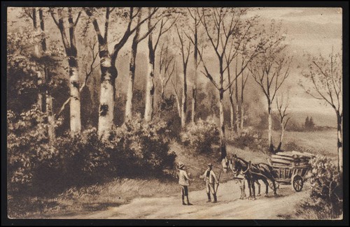 Waldidylle holztransport - ak,