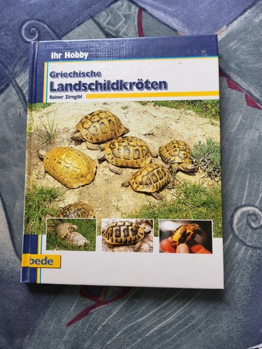 Griechische landschildkröten - griechische,