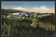 Ansichtskarte Oberpfannenstiel i. Erzgeb., Teilansicht mit Straßenpartie 1919 